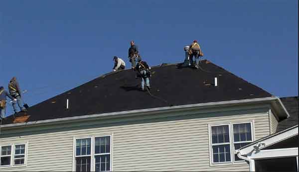 professional roofing service