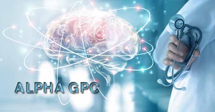 How Alpha GPC Works in the Brain