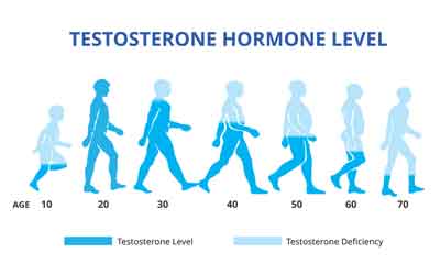 Best Habits That Naturally Increase Testosterone Levels